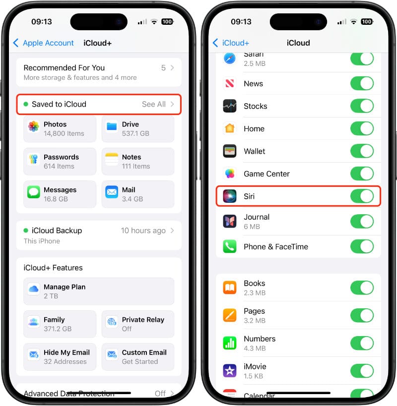 Turn off Siri on iCloud on iOS and iPadOS